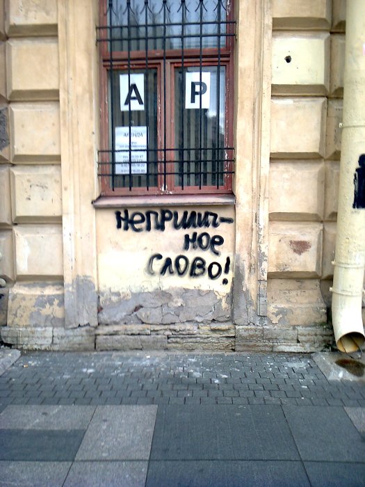 "A dirty word!" Central District, Petersburg, July 18, 2016. Photo by the Russian Reader